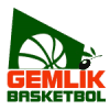 盖姆利克  logo