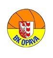 奥帕瓦 logo