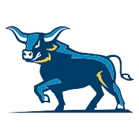 艾尔弗雷德州立学院 