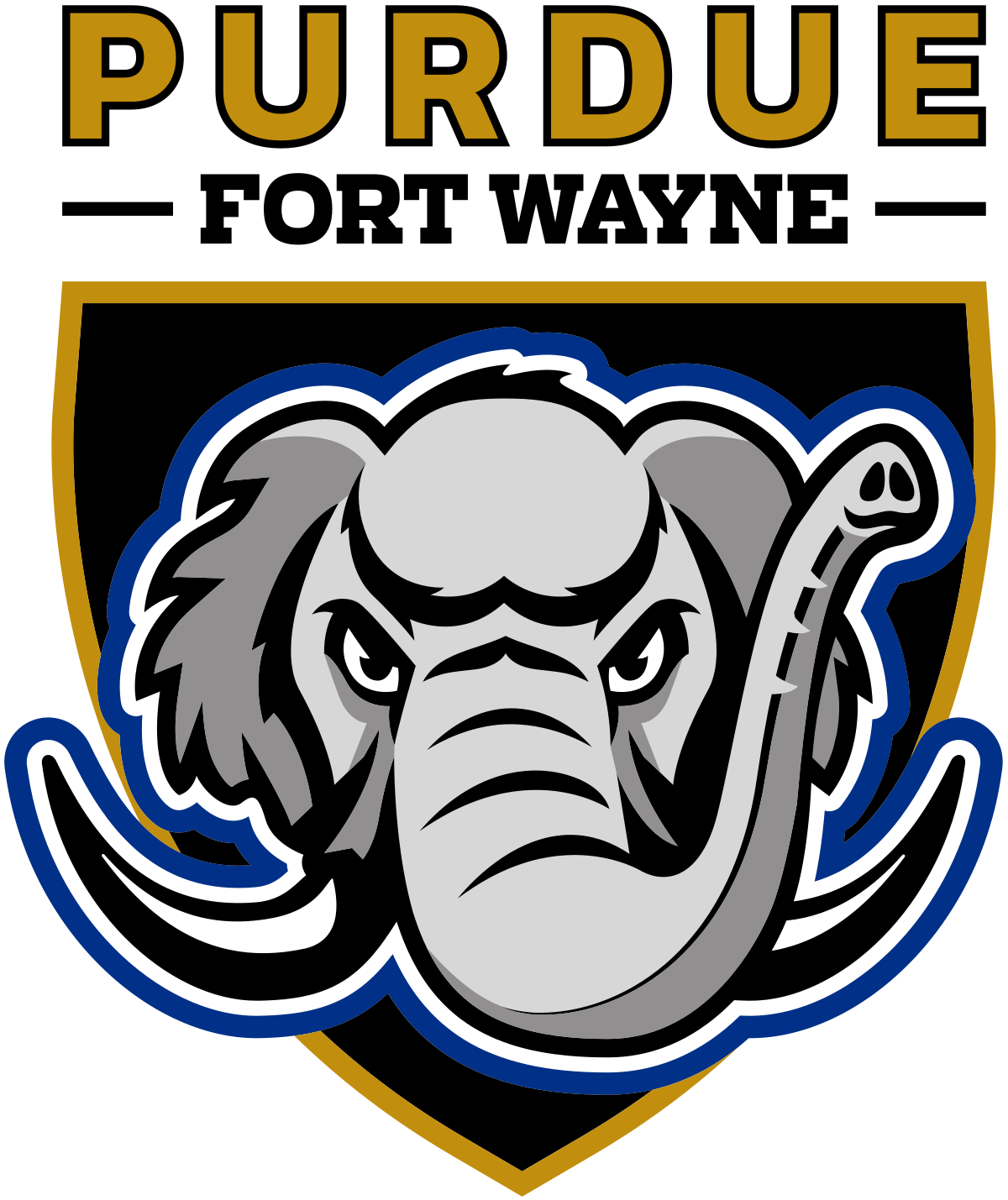 Purdue University Fort Wayne