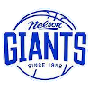 尼爾遜巨人  logo