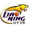 辽宁衡业U21 logo