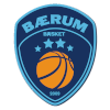 巴洛姆女篮 logo
