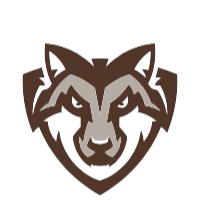 圣博纳旺蒂大学直播