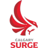 卡爾加里浪涌 logo