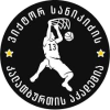 VSA logo