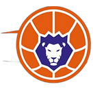 爱尔福特劳文直播