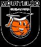 里加女篮  logo