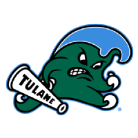 杜兰大学女篮 logo