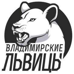 弗拉基米尔大学VlGU女篮