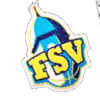 FSV女篮队