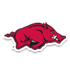 阿肯色大学女篮  logo