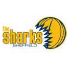 谢菲尔德鲨鱼 logo