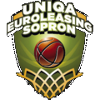 歐洲租賃女籃  logo