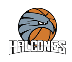 Halcones