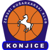 斯洛文尼亞科尼女籃 logo