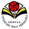 霹靂女籃 logo