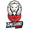 阿梅吉諾  logo