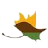 圣卡洛斯门多萨 logo