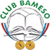 巴米索 logo