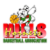 希尔斯黄蜂女篮  logo