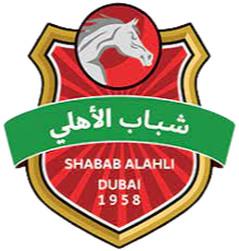 迪拜国民 logo