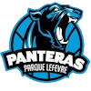 潘多拉女篮  logo
