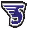 斯通希尔学院女篮 logo