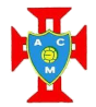 莫什卡维迪  logo