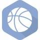 盖迪亚瓦耶篮球学院女篮 logo