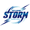 贝拉林风暴  logo