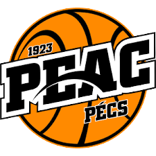 佩克斯2010女篮  logo