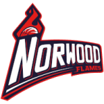 諾伍德火焰女籃 logo