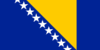 Bosnia and Herzegovina logo