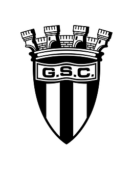 圭弗斯SC logo