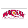 麦凯陨石女篮  logo