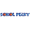 索科爾佩奇基女籃 logo