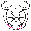 佩斯424女篮 logo