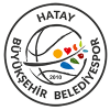哈塔耶女篮  logo