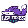 莱斯福克斯女篮  logo