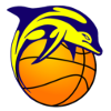 JKL海豚女篮  logo