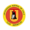 智利南方大學U23  logo