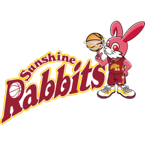 豐田紡織光兔女籃 logo