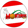德莫罗维斯女篮  logo
