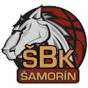 沙莫林女篮  logo