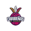 加拉加斯勒比女篮  logo