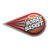 波拉斯  logo
