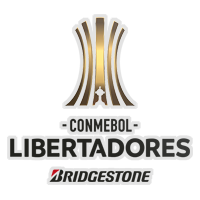 Copa Libertadores Selected Image