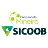 BRA Campeonato Mineiro Division 1 Selected Image