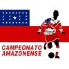 BRA Amazonas Division 1 Selected Image